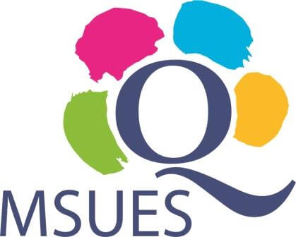 Znak jakości MSUES